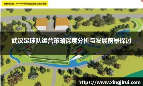 武汉足球队运营策略深度分析与发展前景探讨